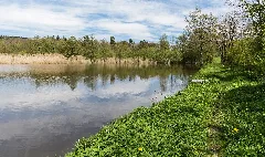 2017 05 06 Nsg Rößlesmahdsee Mit Pfaffenklinge 10