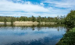 2017 05 06 Nsg Rößlesmahdsee Mit Pfaffenklinge 16