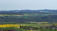 2017 Blick Heisebäumchen Ost