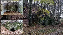 2017 Kleinnaundorf Höhle Im Kaitzbachtal