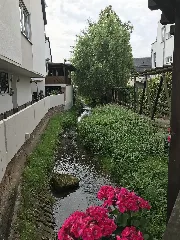 20170830 Schweich 3