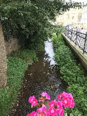 20170830 Schweich 4