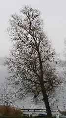 20171231 105537 Biosphärenreservat Schaalsee Gps