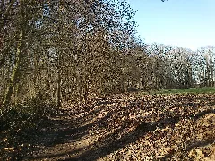 2018 02 14 Lsg Statgebiet Düsseldorf Stadtwald Gerresheim Höchste Stelle Des Weges Der Die Enden Des Sthypolitweges Überbrückt Blickrichtung Gerricusstr Ende Des Weges