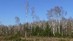 2018 11 18 11.53.05 Zengermoos