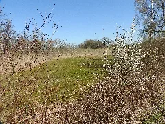 2018040606 W Nsg Sauscholle