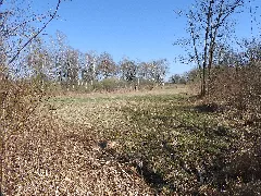 2018040607 W Nsg Sauscholle