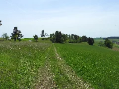 2018052604 W Steppenheide Hardt