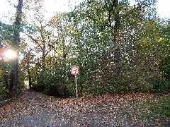 20191030.Stauffenbergallee, Dresden.hechtpark 011