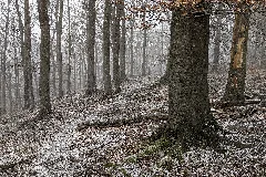 2020 03 29 111932 Naturschutzgebiet Hohenstein