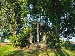 2020 05 28 Nd Winterlinde Am Hagelkreuz, Bottrop (Nrw) 01