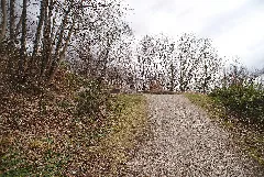 20200228Landschaftsschutzgebiet Isar Landkreis München 01