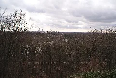20200228Landschaftsschutzgebiet Isar Landkreis München 02