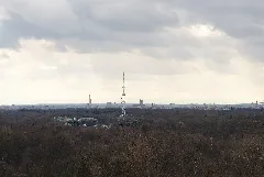 20200228Landschaftsschutzgebiet Isar Landkreis München 03