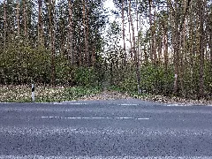 20200420 Xl 055749 Maerchenwald Strausberg Vorstadt Zugang Garzauer Strasse West