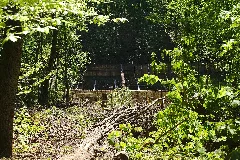 20200423Alt Saarbrücker Stadtwald 01