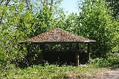 20200423Alt Saarbrücker Stadtwald 02
