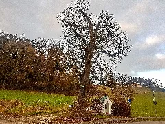 20201230 Nd Kapellenlinde Eicheck Halsbach