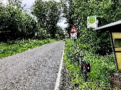 2021 07 28 Birnbaum (Gummersbach) Photo 01