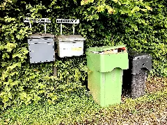 2021 07 28 Birnbaum (Gummersbach) Photo 05