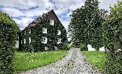 2021 07 28 Birnbaum (Gummersbach) Photo 06