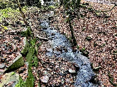2021 11 20 Hike Protected Areas Lennep Photo 20