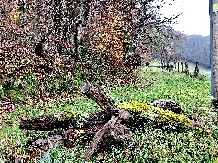 2021 11 20 Hike Protected Areas Lennep Photo 22