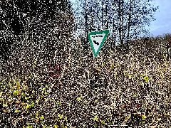 2021 12 10 Nsg Sumpfgebiet Im Ölbachtal (Leverkusen Pattscheid) Photo 01