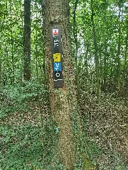 2021 Wegmarkierungen Beim Wiehenturm Bei Preussisch Oldendorf