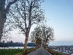 20210101 Nd Eschenallee Kreisstraße Aö12 7