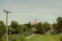 20210616 Mariä Himmelfahrt Scheppach 03