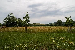 20210627 Homerich Gersheim