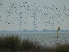 20211018 Xl Dscn1242 Windkraftanalgen In Niedersachsen