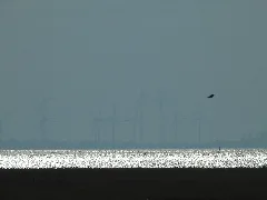 20211018 Xl Dscn1257 Windkraftanalgen In Niedersachsen