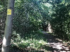 2022 06 16 Bergischer Panoramasteig Etappe 12 Foto 02
