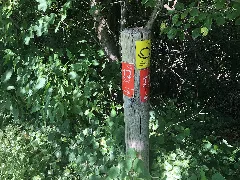 2022 06 16 Bergischer Panoramasteig Etappe 12 Foto 03