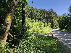 2022 06 16 Bergischer Panoramasteig Etappe 12 Foto 11