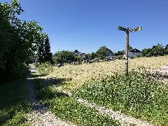 2022 06 16 Bergischer Panoramasteig Etappe 12 Foto 15