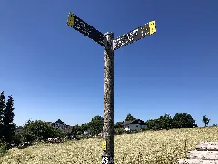 2022 06 16 Bergischer Panoramasteig Etappe 12 Foto 16