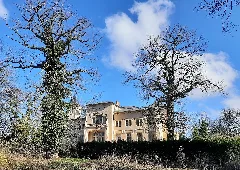 20220227 Rückansicht Von Schloss Krumke