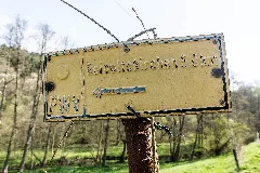 20220422 Pwv Wegweiser Hohenöllen