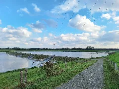 20240924 170830 Überlaufschwelle Alfsee