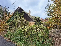 20251024.Heidenau, Niederhof An Der Pechhütte. 012