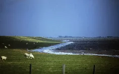 21 Halligfahrt 1984 (16150324535)