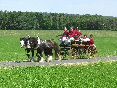 21Te Rammenauer Schlossrundfahrt Der Pferdegespanne (057)