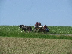 21Te Rammenauer Schlossrundfahrt Der Pferdegespanne (070)