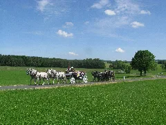 21Te Rammenauer Schlossrundfahrt Der Pferdegespanne (089)