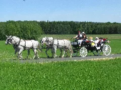 21Te Rammenauer Schlossrundfahrt Der Pferdegespanne (090)