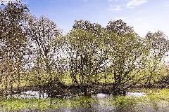 2366 Polder