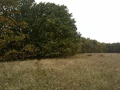 23923 Lüdersdorf, Germany Panoramio (2)